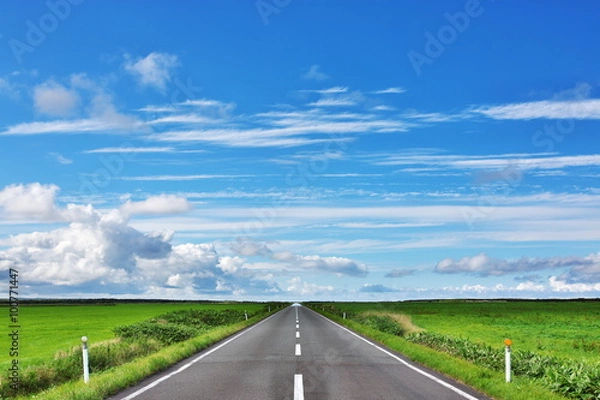 Fototapeta 猿払村の直線道路