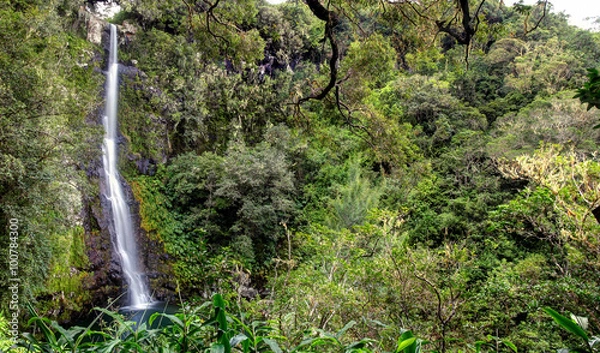 Obraz Cascade Maniquet