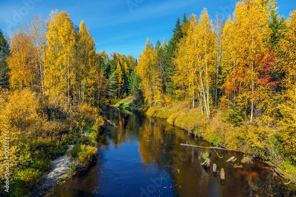Obraz Autumn in Siberia.
