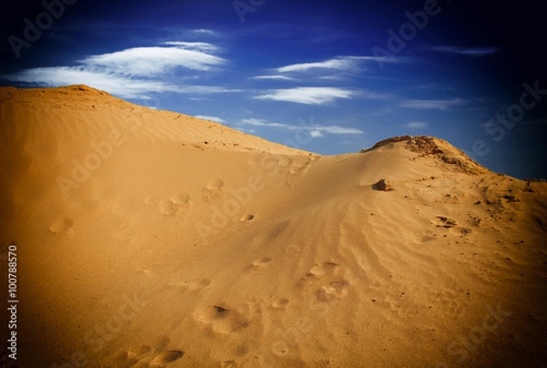 Obraz sand desert landscape
