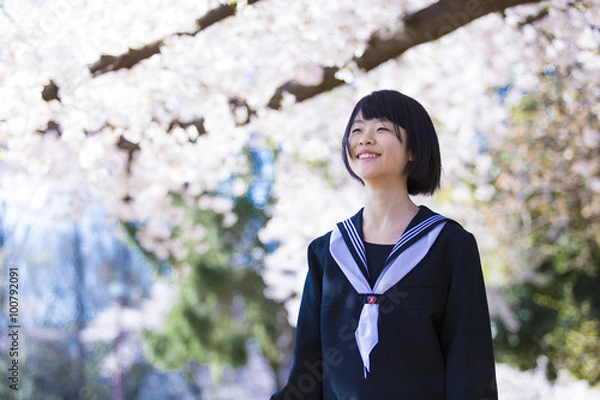 Fototapeta 中学生（入学）