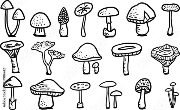 Obraz Mushroom illustration