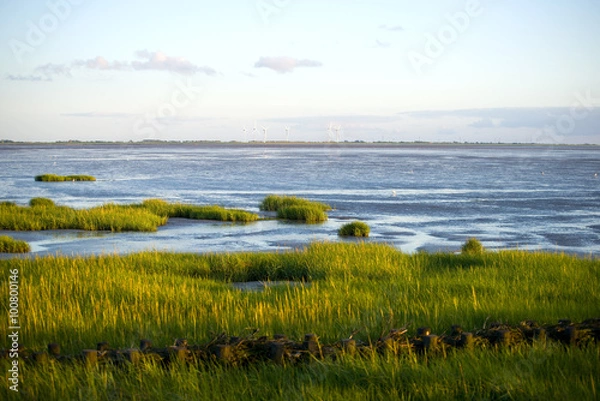 Fototapeta Wattenmeer bei Husum - Nordsee 