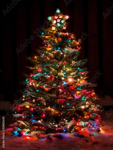 Obraz Snow Covered Christmas Tree with Multi Colored Lights