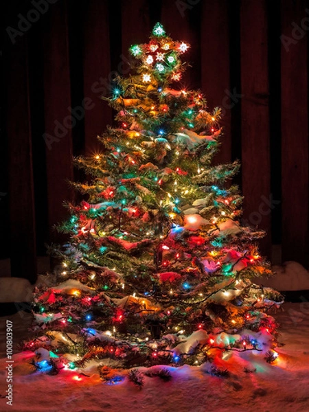 Fototapeta Snow Covered Christmas Tree with Multi Colored Lights