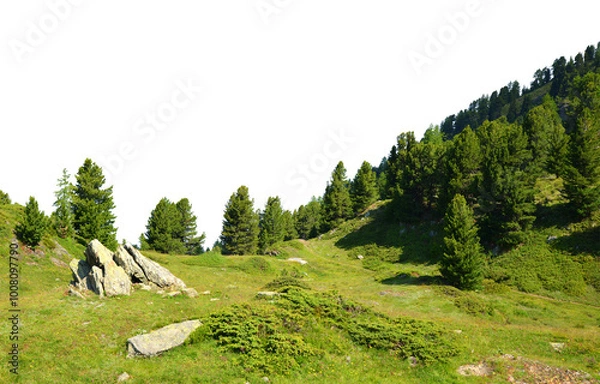 Fototapeta Mountain meadow with trees isolated on a transparent PNG background.