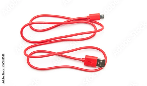 Obraz Red USB Cable Plug