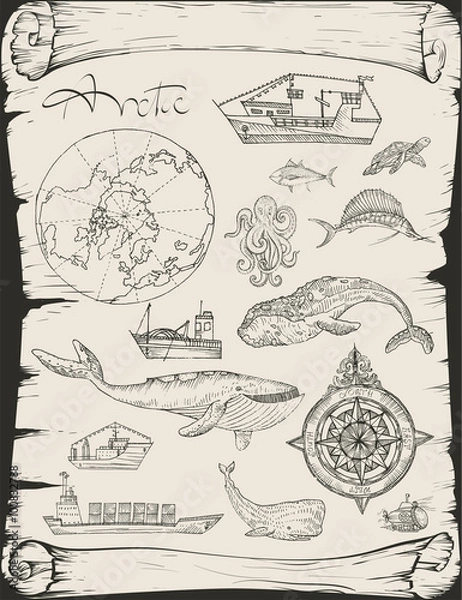 Obraz Boat trips, Arctic.