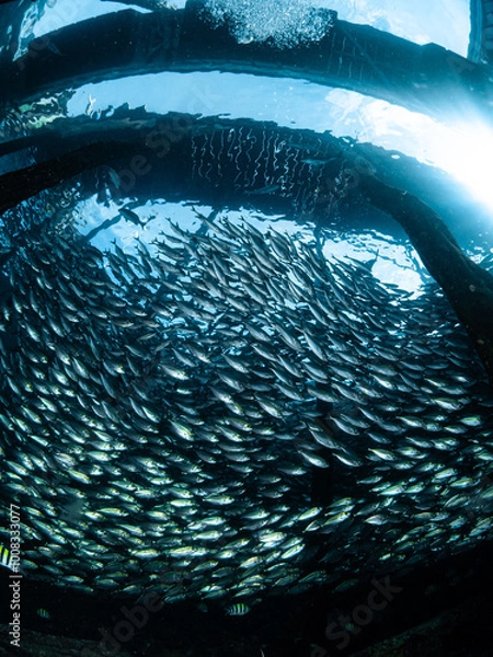 Obraz Leben unter dem Peer