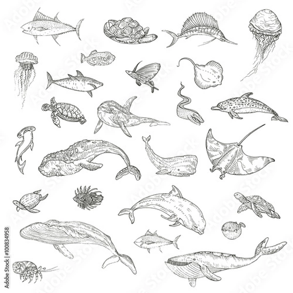 Obraz The pattern of marine animals.