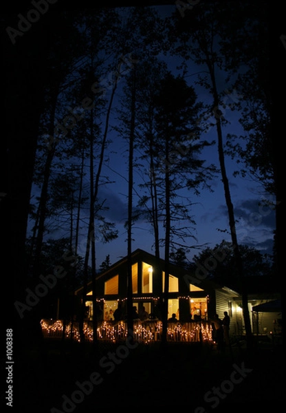 Obraz house at night