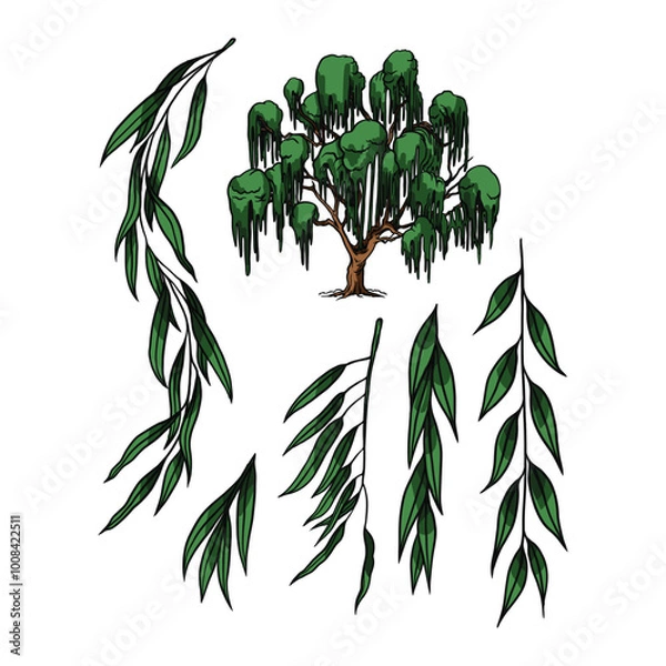 Obraz Willow Tree Plant Vector
