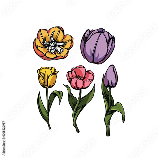 Obraz Tulips flowers set in Vector 