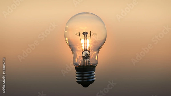 Obraz Lightbulb at sunset