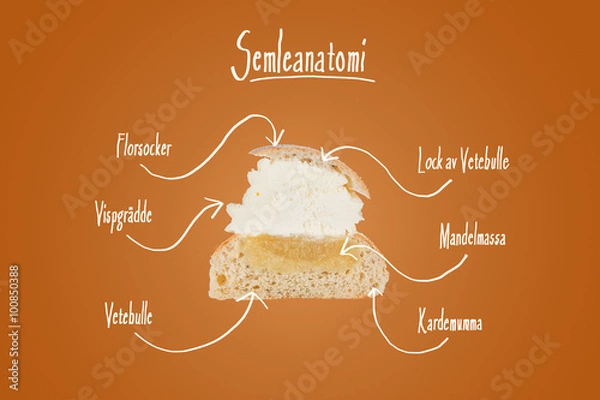 Fototapeta Anatomy of a Swedish Cream bun (Semla) by an intersected bun with arrows and names of the various components / ingredients in Swedish.