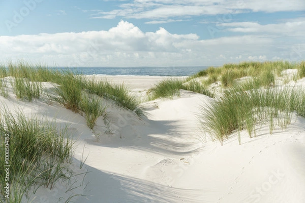 Obraz Dünenlandschaft an der Nordsee