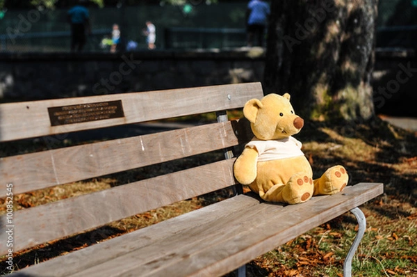Obraz Bear toy sitting on a bench in a park