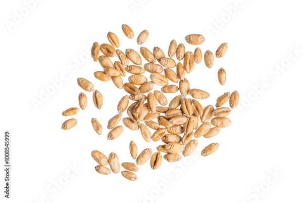 Obraz wheat grains isolated on white background	
