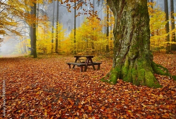 Fototapeta when autumn paints