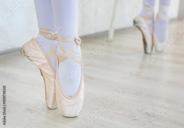 Obraz ballet dancer in ballet shoes