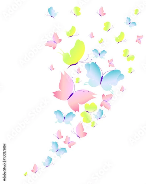 Fototapeta butterflies design