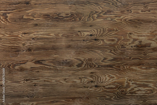 Obraz Texture of old wood grain.