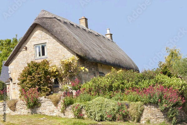 Obraz Traditional thatched roof stone Cotswold cottage with roses on the wall and flowers in the garden