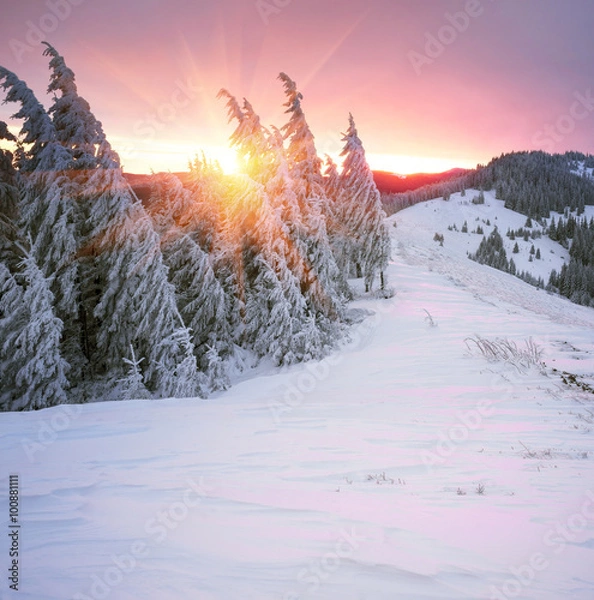 Fototapeta Blizzard after