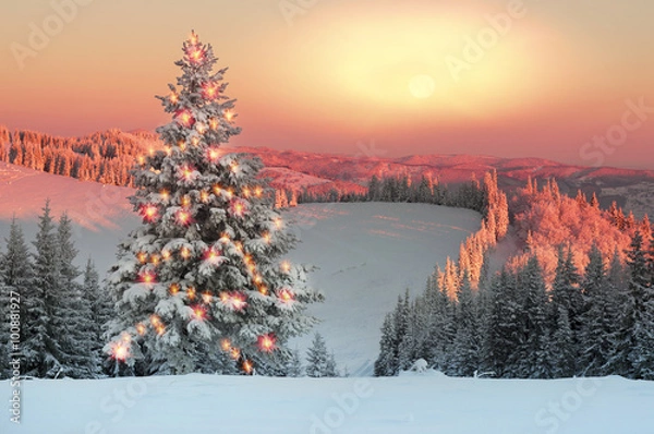 Obraz Frosty forest