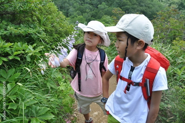 Obraz 山歩きを楽しむ子どもたち　兄弟　茂み　兄妹
