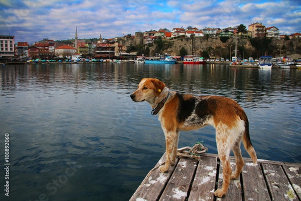 Fototapeta bekleyiş