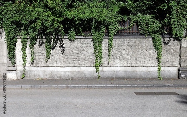 Fototapeta Fence made of rough concrete with railing on top Creeping plants descend from top. Cement tiled sidewalk and street in front. Background for copy space