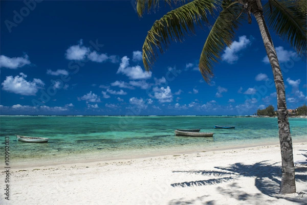 Obraz Mauritius