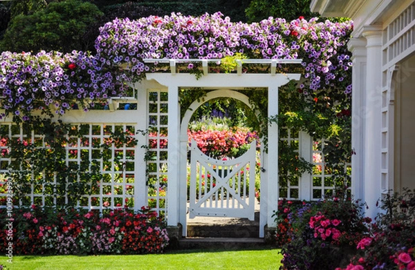 Obraz Botanical garden white fence with gate and blooming flowers