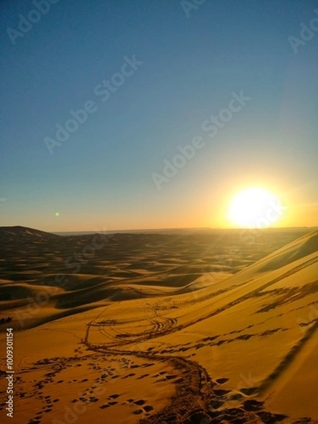 Obraz sunset in the desert