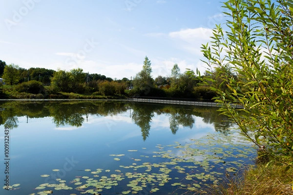 Obraz reflection of trees in water. Autumn landscape with a lake surrounded by dense trees and vibrant foliage under a clear blue sky