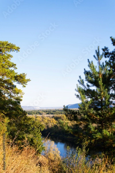 Obraz river in the forest. Autumn landscape with a lake surrounded by dense trees and vibrant foliage under a clear blue sky. vertical