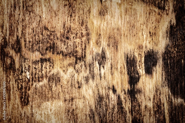 Fototapeta Old wood texture