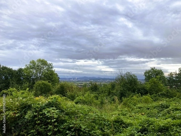 Fototapeta Weitblick mit Grün 