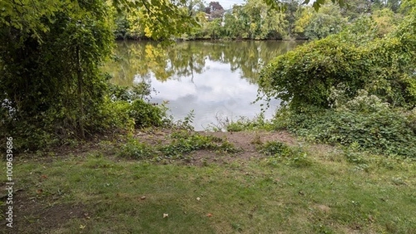 Obraz stream in the forest