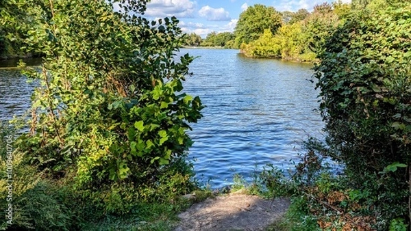 Obraz small river in the forest
