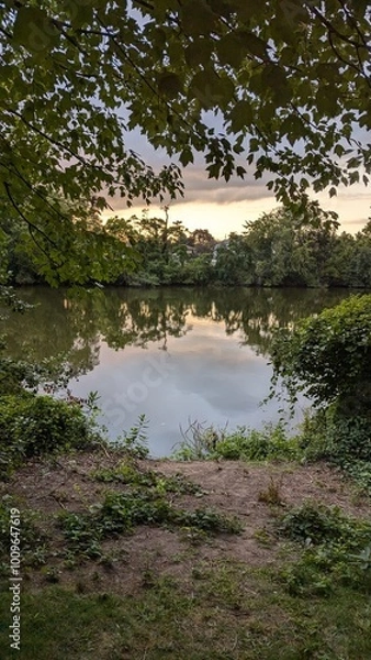 Obraz river in the woods