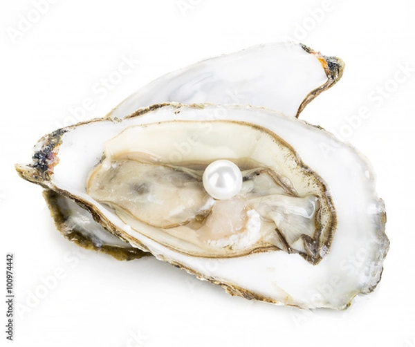Obraz Oyster with pearl close-up isolated on a white background.