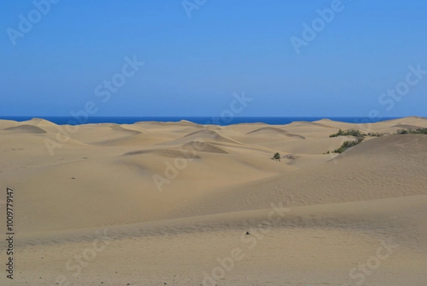 Fototapeta The Maspalomas Dunes (spanish: Dunas de Maspalomas). Sand dunes located on the south coast of the island of Gran Canaria, Spain