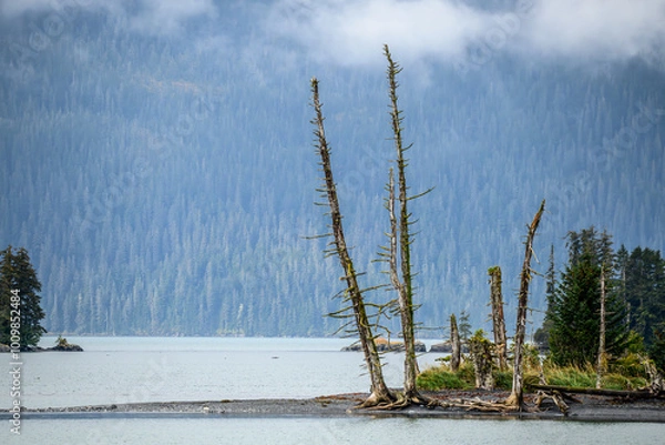 Fototapeta alaskan peninsula   