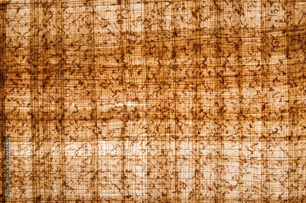 Fototapeta Backlit papyrus sheet