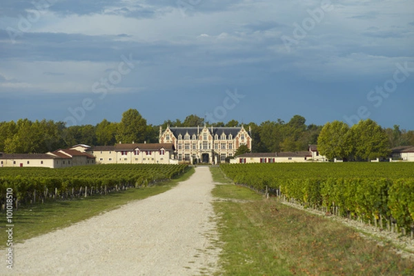 Obraz Chateau Cantenac-Brown