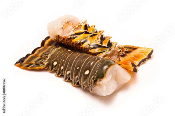 Fototapeta Raw Caribbean rock lobster tails isolated on a white studio back