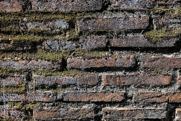 Obraz Close-up of an old brick wall covered in moss and small plants, highlighting a textured, natural, and weathered surface, ideal for backgrounds or nature-themed designs