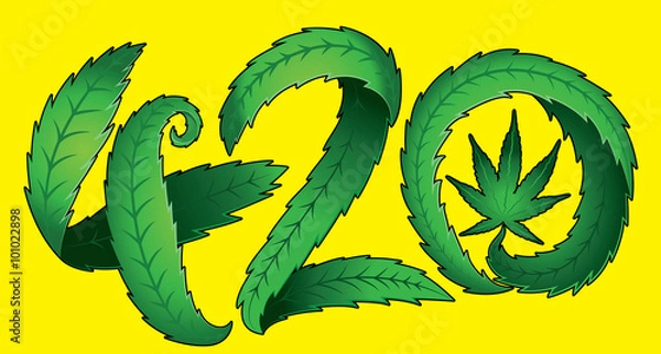 Obraz Green marijuana cannabis leaf 420 text vector illustration